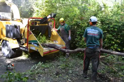 tree services St. Meinrad